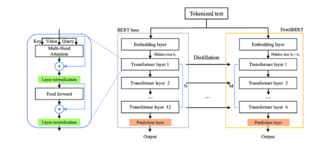 NLP Model Evaluation